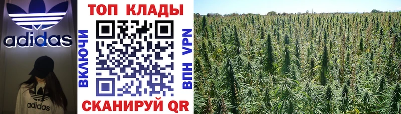 Где можно купить наркотики Минусинск АМФЕТАМИН  Каннабис  МЕФ  Гашиш  КОКАИН  Alpha-PVP 
