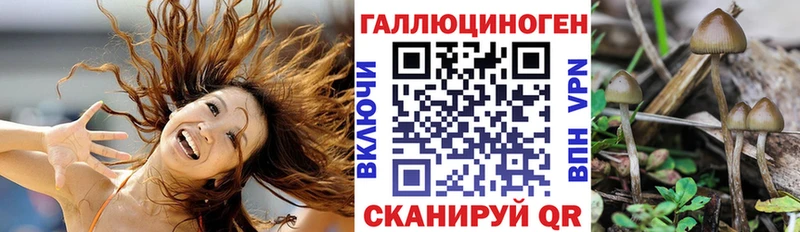 Псилоцибиновые грибы мицелий  купить наркотики цена  Минусинск 