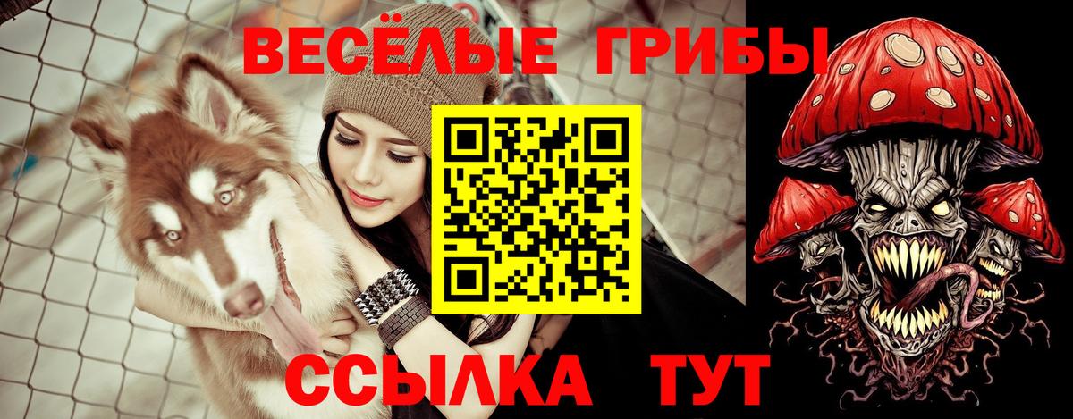 Галлюциногенные грибы MAGIC MUSHROOMS Минусинск