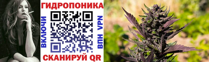 где продают наркотики  Минусинск  Марихуана White Widow 
